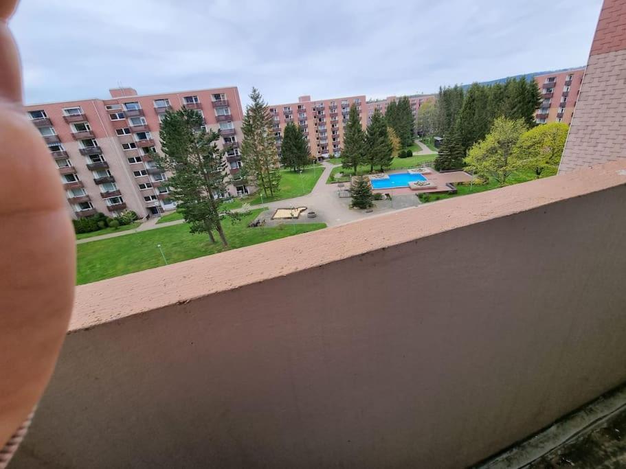 Ferienwohnung Altenau Im Harz, Hunde Exterior photo
